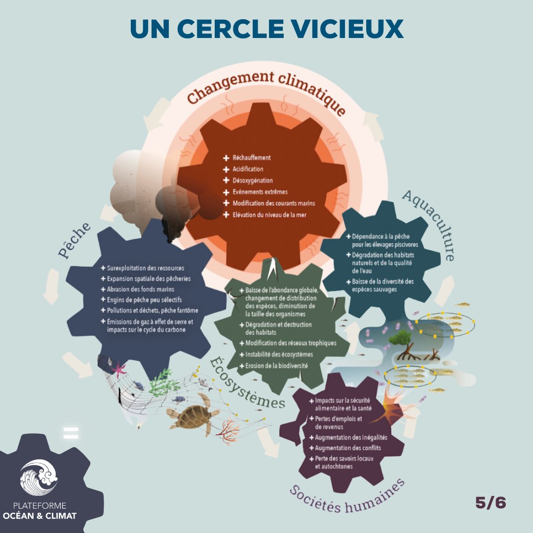 [#BlueFood] 🌊Quels défis &amp; perspectives pour la #pêche &amp; l’#aquaculture dans le contexte du #changementclimatique ? 🤔
📅 RDV le 15/10 pour découvrir la dernière synthèse des connaissances de <a href="/ocean_climate/">Ocean & Climate Platform</a> issue de <a href="/IPCC_CH/">IPCC</a> <a href="/IPBES/">ipbes</a> <a href="/FAO/">Food and Agriculture Organization</a>  🎣

#OceanforClimate
