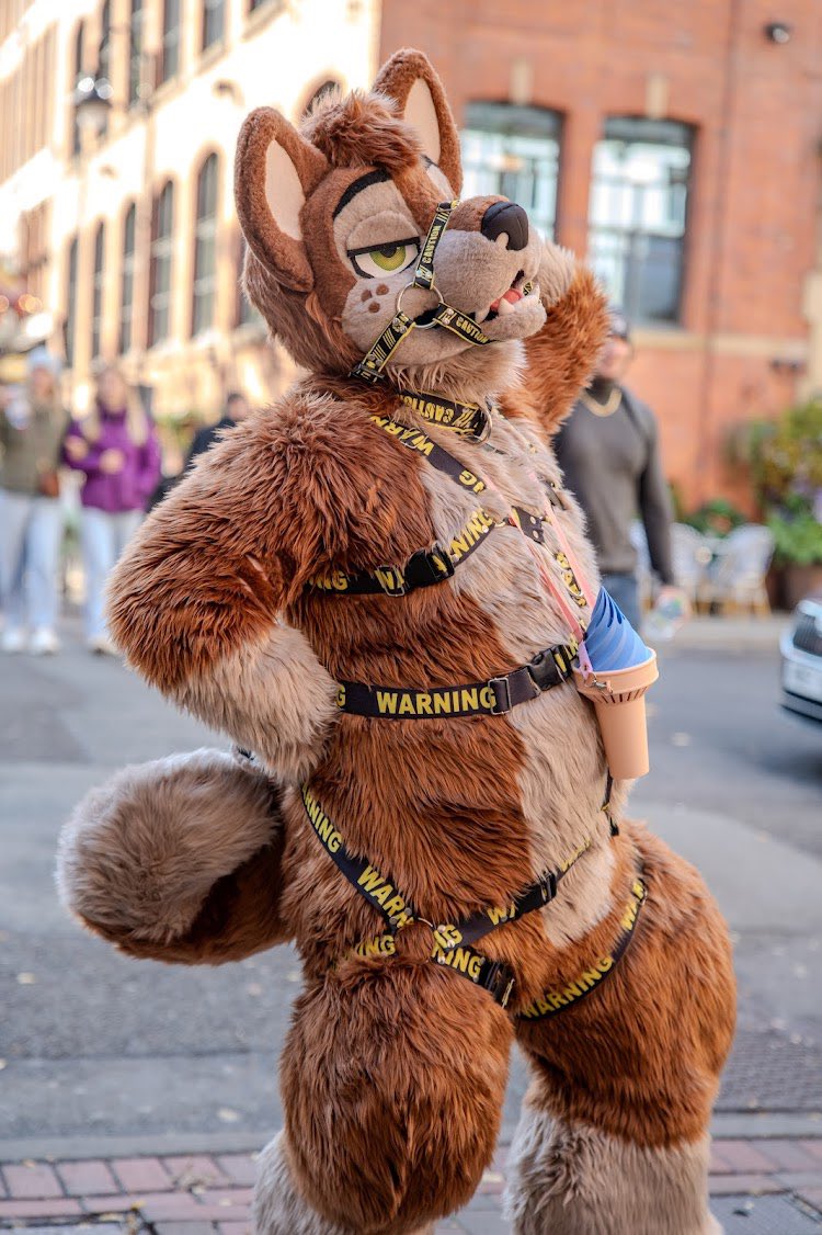 Had a blast at the October 2024 #mancfurs always a joy seeing everyone 

Photographer: <a href="/brins0/">Brins0</a> 
Suit maker: <a href="/Hamlet18160/">Hamlet</a> 
Harness: <a href="/Unreal_Leashed/">Unreal Leashed</a> 

#furry #furries #fursuit