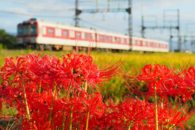 鉄道の日らしいのででんちゃオタクの四季を置いておこうと思います 