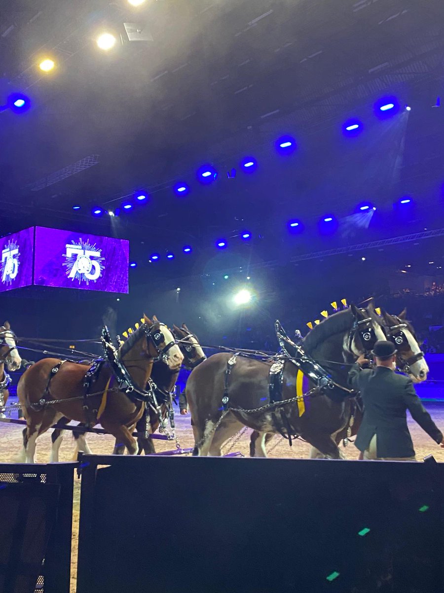 ClassicalTwins's tweet image. Thank you to @JarloLondon for the dresses of dreams, you guys are the best 💜