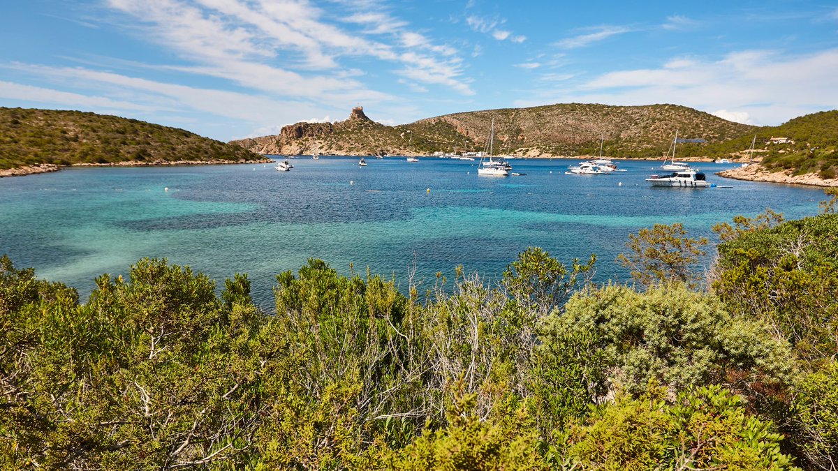 UIBCongrés tweet media