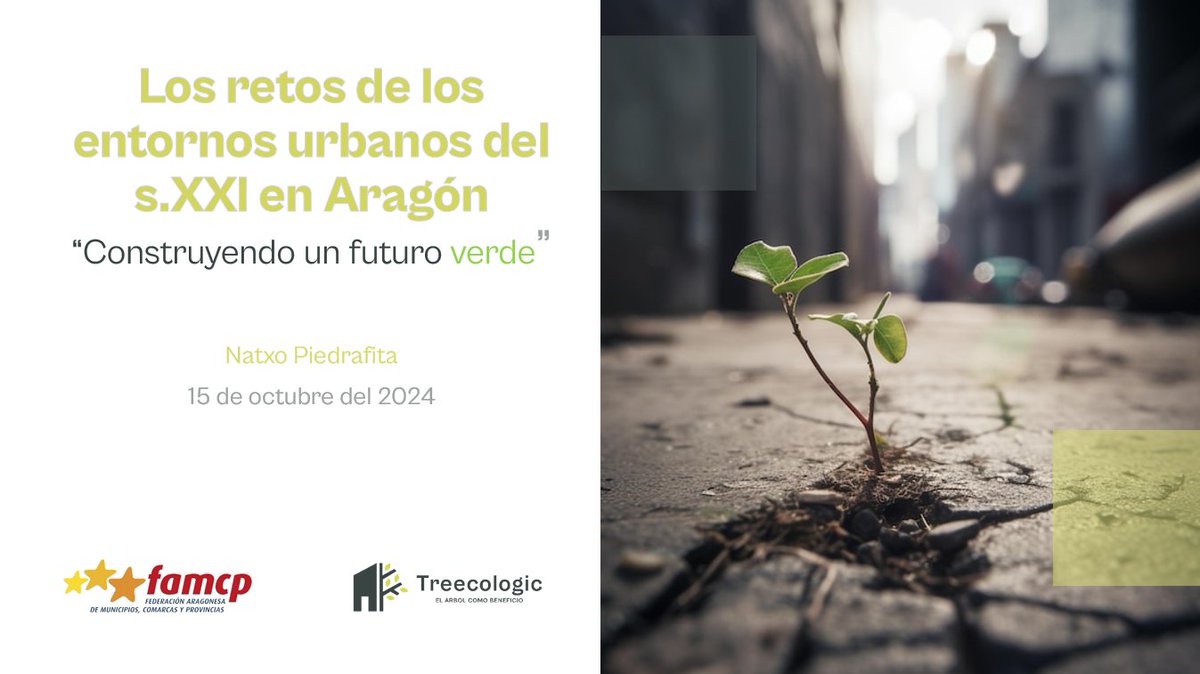 Treecologic | Asesoría de arboricultura en Aragón tweet media
