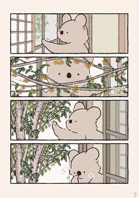 【再掲】小さい秋とコアラ 