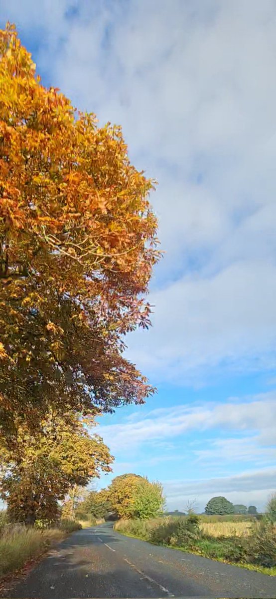 Hello from North Yorkshire. Peaceful. (May need a click.) #Autumn #Trees #Sky #Countryside #Yorkshire