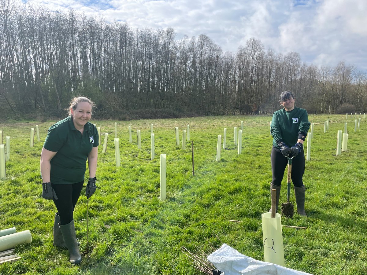 WiltsWildlife's tweet photo. Over the past year, we've planted an amazing 12,000 trees across 11 sites in Swindon! 🌳
Read more about our work in #Swindon: https://t.co/UoruMpy7Ow
@SwindonCouncil #TreesForClimate #MondayMotivation https://t.co/jqDFDeiPvd