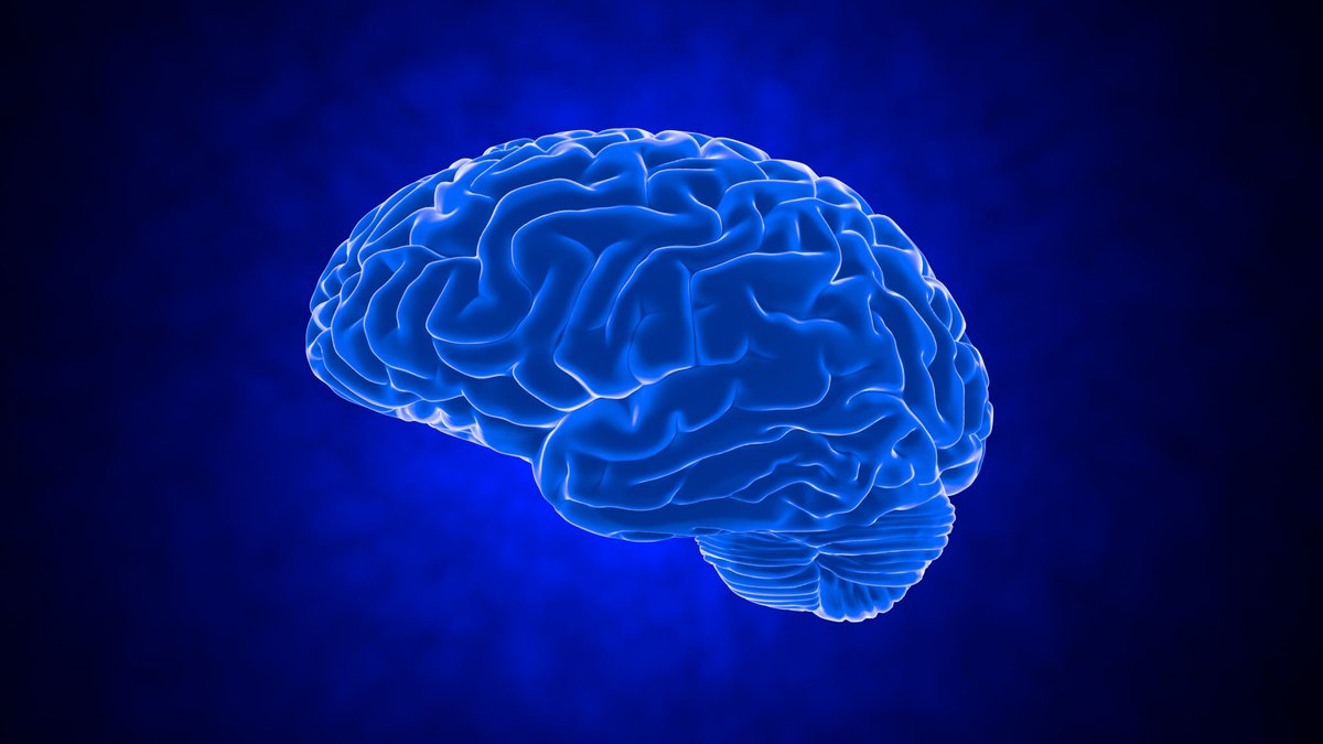 touchNEUROLOGY (@touchneurology) on Twitter photo đź§ The #StrokeActionPlan for Europe is a vital initiative dedicated to enhancing #stroke care across the continent.
Learn more 👉 touchneurology.com/stroke/journal…
<a href="/HanneKChr/">Professor Hanne Christensen</a> <a href="/awilkie72/">Arlene Wilkie</a> <a href="/MelindaRoaldsen/">Melinda B. Roaldsen</a> <a href="/Ales_tomek/">Aleš Tomek</a> 🧠The #StrokeActionPlan for Europe is a vital initiative dedicated to enhancing #stroke care across the continent.
Learn more 👉 touchneurology.com/stroke/journal…
<a href="/HanneKChr/">Professor Hanne Christensen</a> <a href="/awilkie72/">Arlene Wilkie</a> <a href="/MelindaRoaldsen/">Melinda B. Roaldsen</a> <a href="/Ales_tomek/">Aleš Tomek</a>
