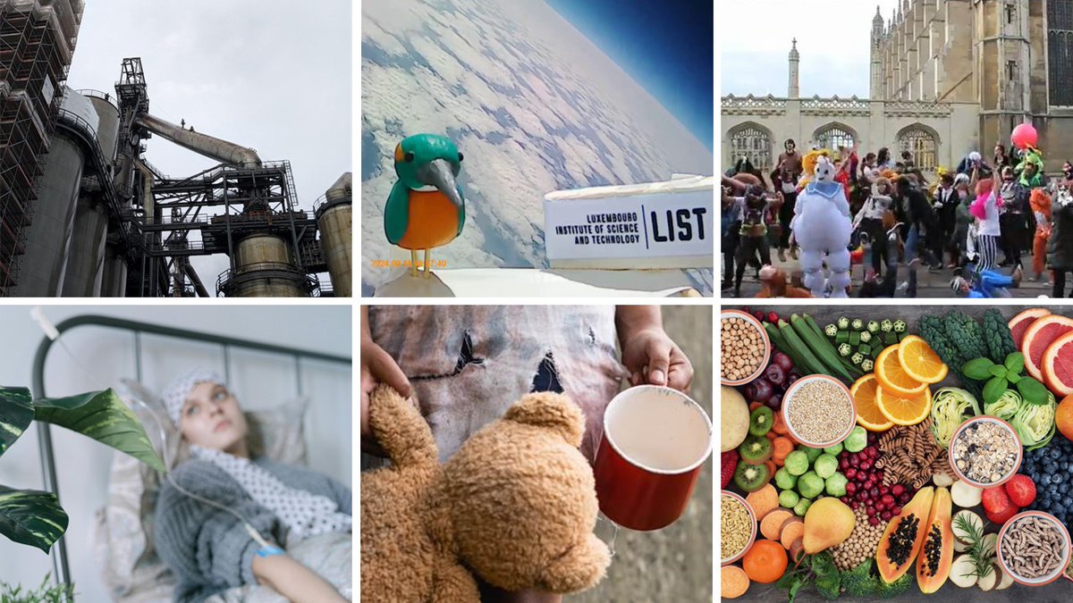 ✅Improving #guthealth During Chemotherapy🧫
✅Understanding #OnlineVirality📳
✅A Vocal #Biomarker for #Smoking🚬
✅#Fossil Flora in #Luxembourg🌿
✅Specific Timings That Can Enhance #Chemotherapy⌚
[...]

Discover #ResearchLuxembourg news from Sept 24➡️researchluxembourg.org/en/10-selected…