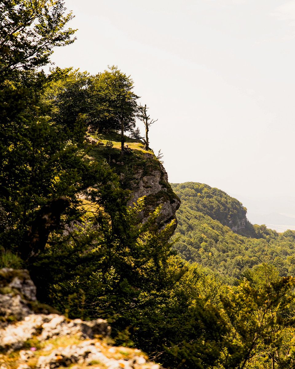 Álava Turismo tweet media