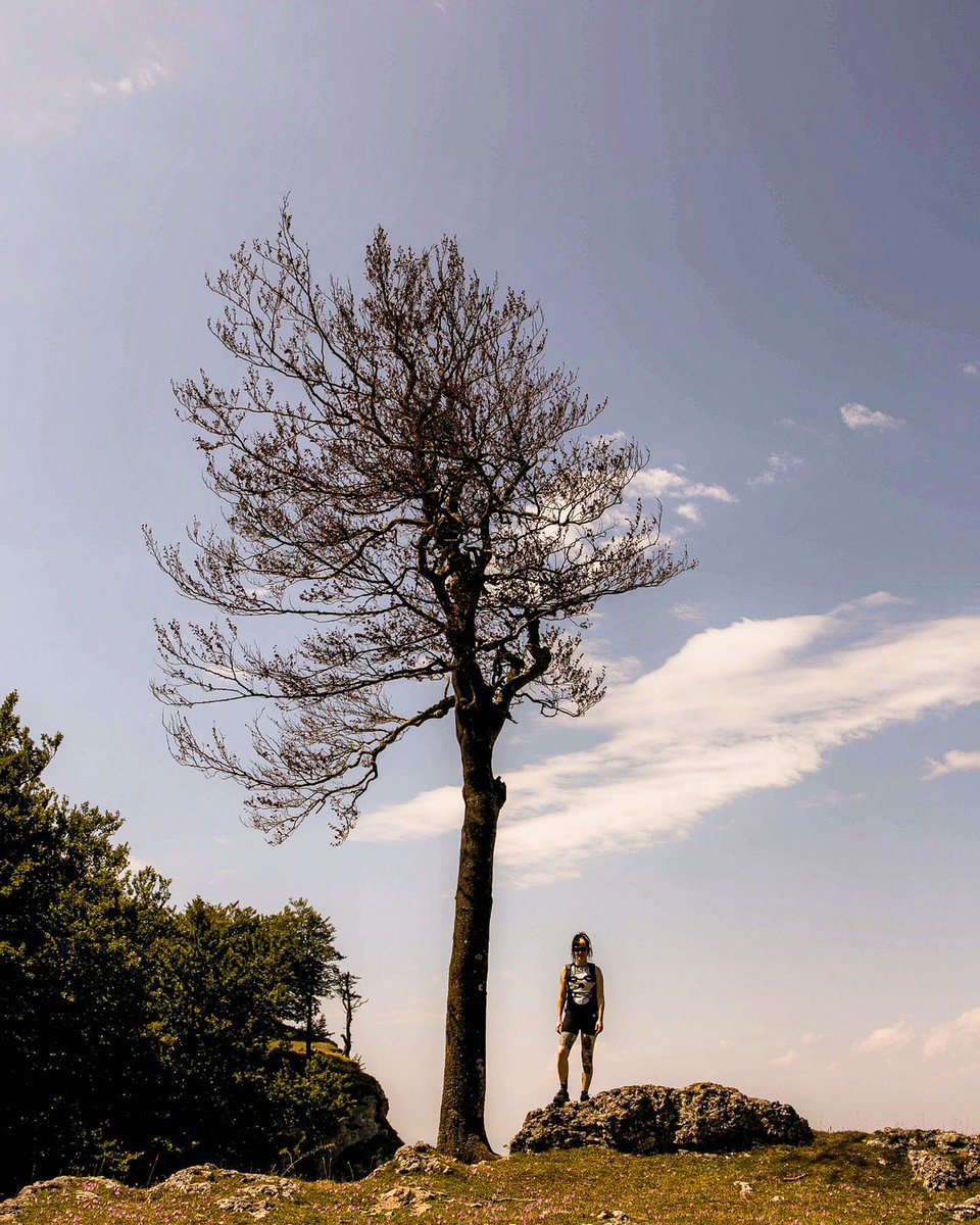 Álava Turismo tweet media