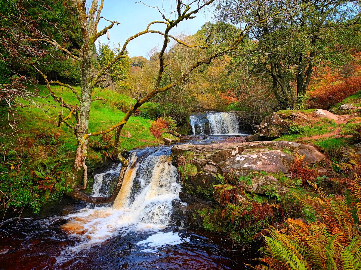 Pibydd's tweet image. #2 Cyfres bach o eiriau hydrefol ar gyfer Wythnos Dathlu Dysgu a Diwrnod @ShwmaeSumae #shwmaesumae24 #dysgucymraeg
Rhaeadr, Pistyll, Sgwd -
Waterfall
Afon, Glais, Nant
River, Stream, Brook