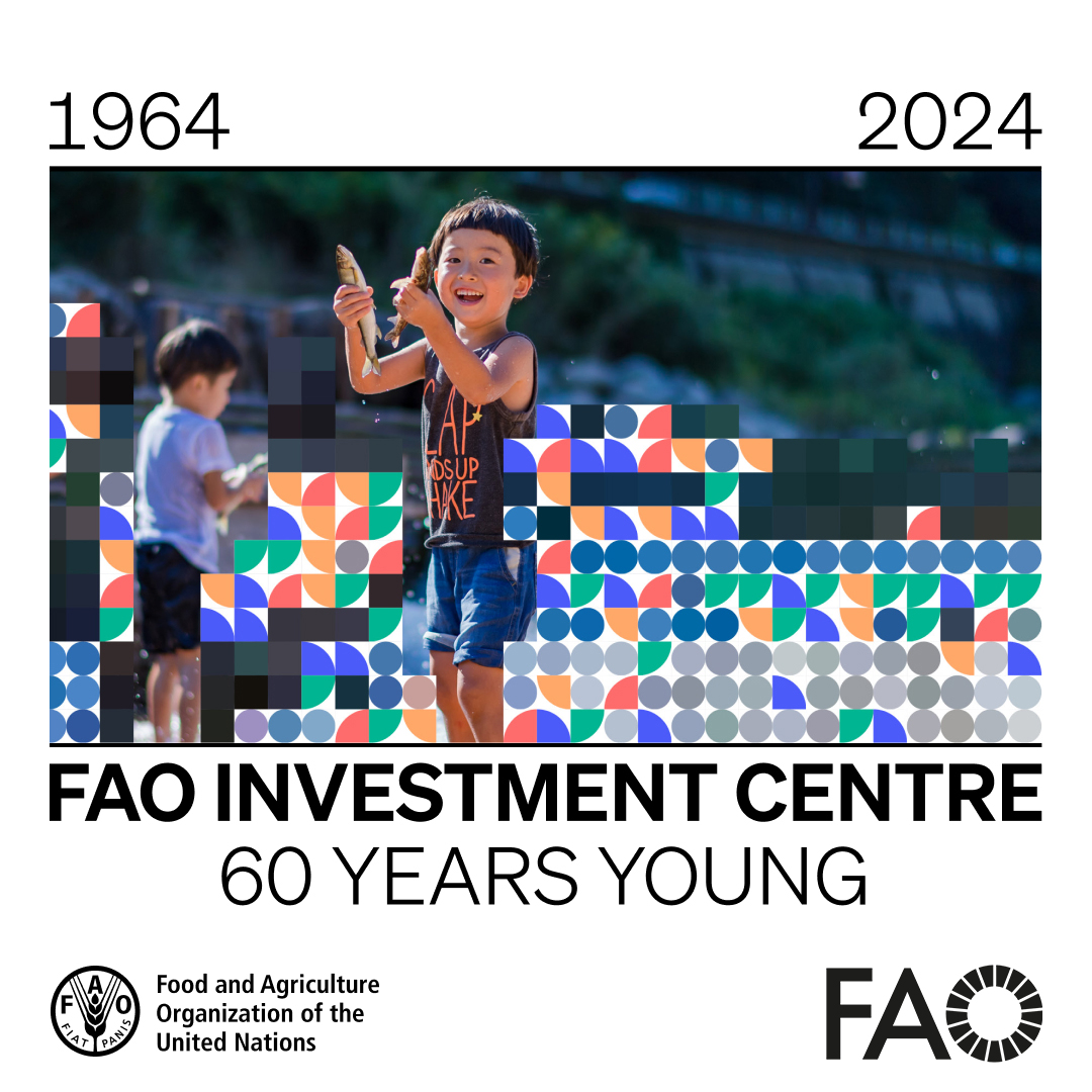 FAO Investment Support (@faoinvest) on Twitter photo <a href="/FAOInvest/">FAO Investment Support</a> is 60 years young! We’re celebrating this milestone from now until mid-2025, starting with an event on 15 October from 9-10:00am in the FAO Plenary just before the 3rd Hand-in-Hand Investment Forum. Come join us!
More - tinyurl.com/FAOinvest60 <a href="/FAOInvest/">FAO Investment Support</a> is 60 years young! We’re celebrating this milestone from now until mid-2025, starting with an event on 15 October from 9-10:00am in the FAO Plenary just before the 3rd Hand-in-Hand Investment Forum. Come join us!
More - tinyurl.com/FAOinvest60