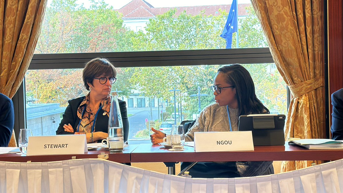 <a href="/FriendsEurope/">Friends of the Global Fund Europe</a> on the backbone of Global Health Resilience at #WHS024 and <a href="/oliviaoli02/">oliviangou</a> emphasizing that it is jmportant to prioritise Community Health Workers and saving lives, and people dying from malaria are the ones dying because they don’t have access to treatment!