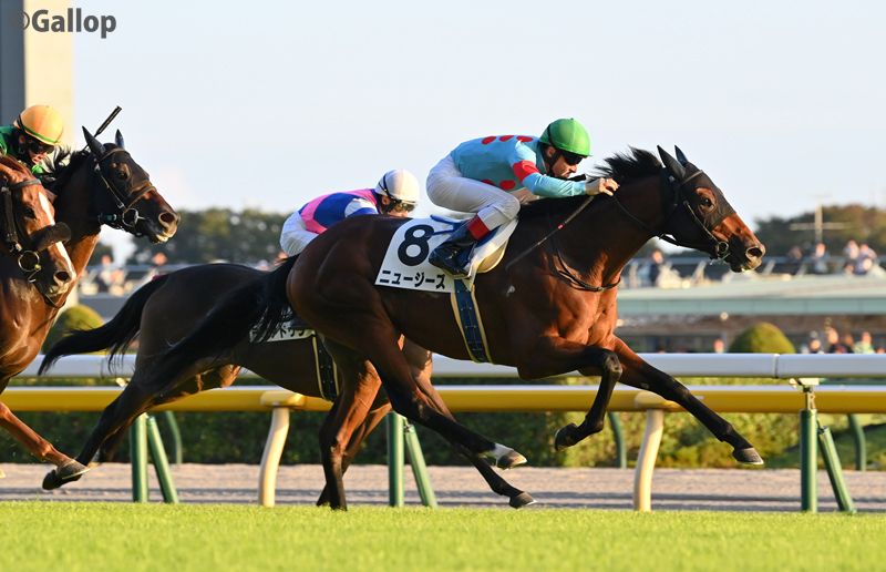 gallop_keiba's tweet photo. 東京12Rは1番人気 #ニュージーズ が勝利！
姉にミッキークイーンがいる良血馬が追い比べを制して3勝目！
クリストフ・ルメール騎手は連勝で本日4勝👏 https://t.co/3XRYxVffzP