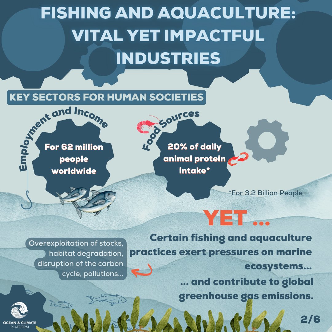 Ocean & Climate Platform tweet media