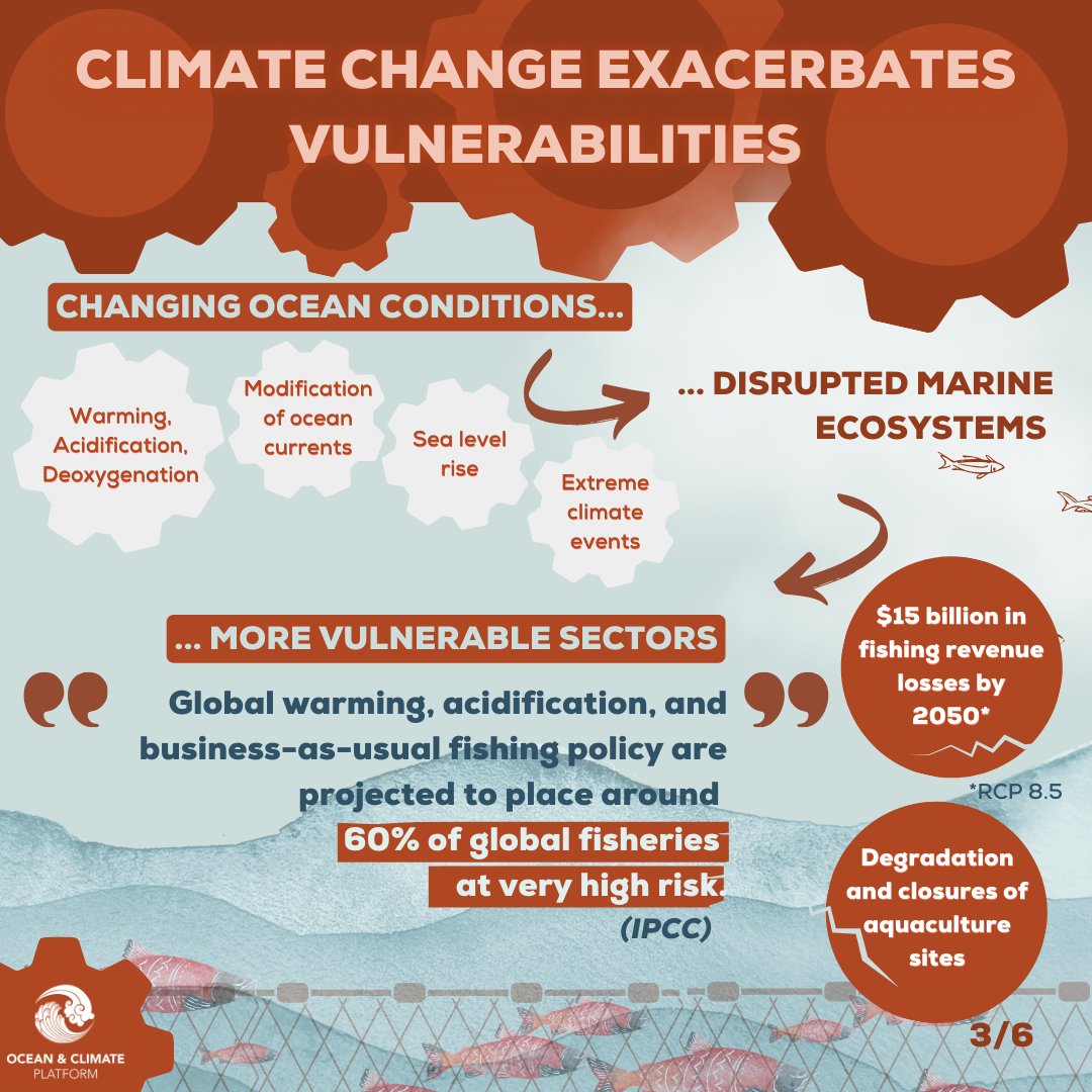 Ocean & Climate Platform tweet media