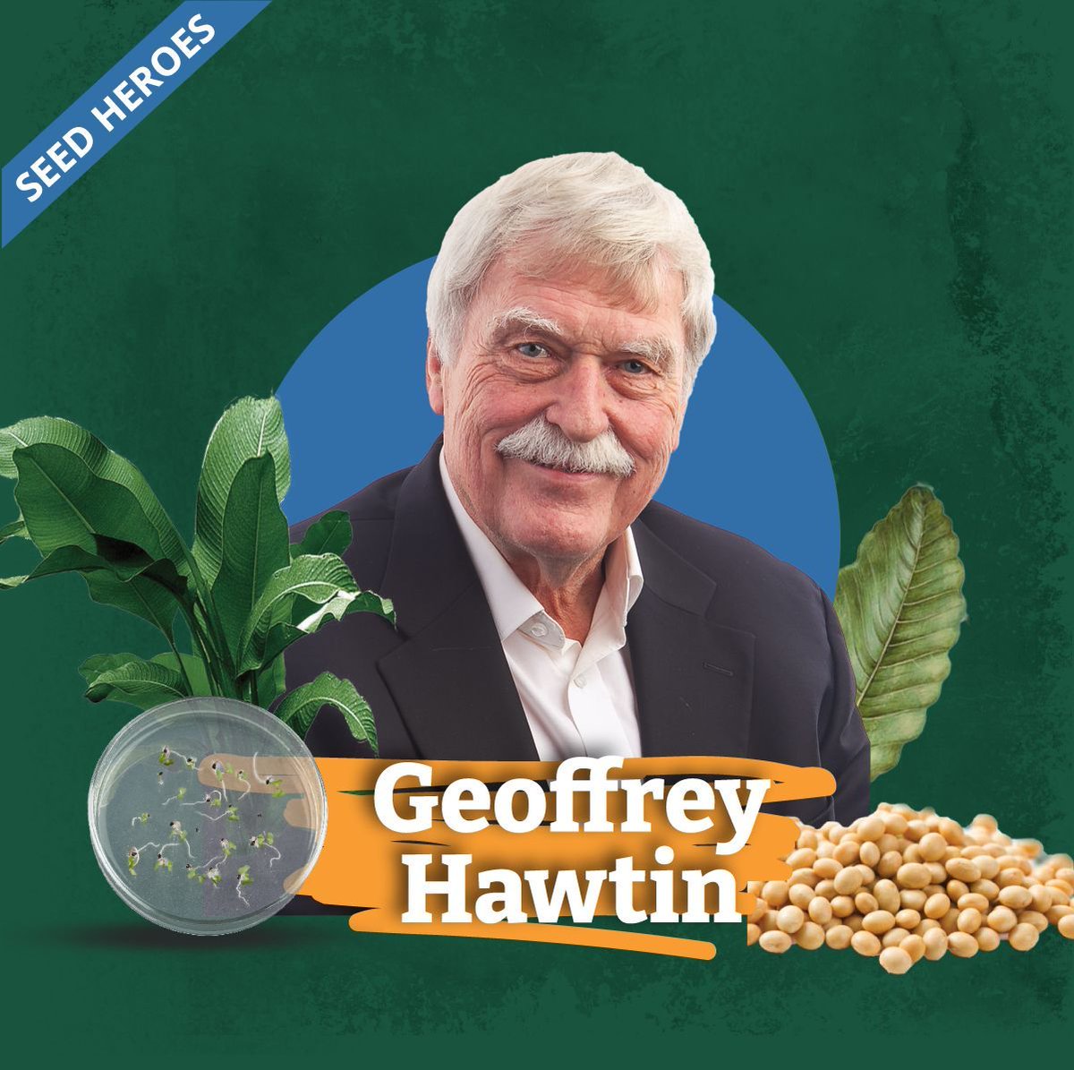 The Crop Trust (@croptrust) on Twitter photo A key figure in crop diversity conservation and the first Executive Secretary of the Crop Trust <a href="/geoffhawtin/">Geoffrey Hawtin</a>, co-recipient of 2024 <a href="/WorldFoodPrize/">World Food Prize Foundation</a> is our next Seed Hero!
Learn why he believes agricultural biodiversity is a solution to global challenges: buff.ly/3BzJ3b7 A key figure in crop diversity conservation and the first Executive Secretary of the Crop Trust <a href="/geoffhawtin/">Geoffrey Hawtin</a>, co-recipient of 2024 <a href="/WorldFoodPrize/">World Food Prize Foundation</a> is our next Seed Hero!
Learn why he believes agricultural biodiversity is a solution to global challenges: buff.ly/3BzJ3b7