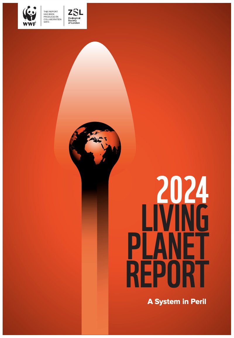 New WWF report reveals a catastrophic 73% decline in the average size of global monitored wildlife populations since 1970.

#LivingPlanetReport