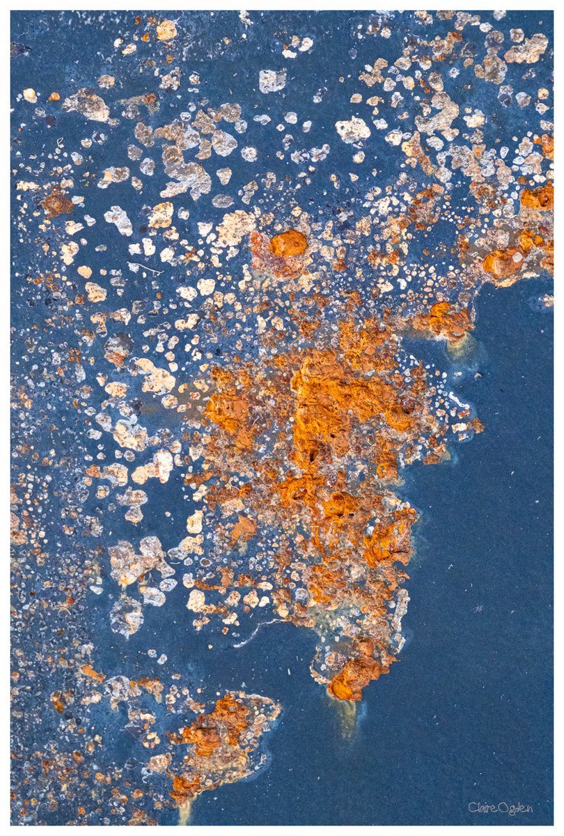 Claire Ogden (Saltdragon) tweet media