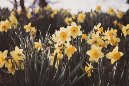 Anna Anna tweet media