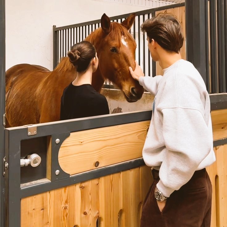 NevandoPalabras's tweet photo. «Solo cuando me alejo de él me doy cuenta de que mi pulso se normaliza. Cuando estaba tan cerca de mí, ha estado a punto de detenerse por completo».

#ProyectoHazel (20K) 🍂✨🐴🧡 https://t.co/j2MWMNQPpl