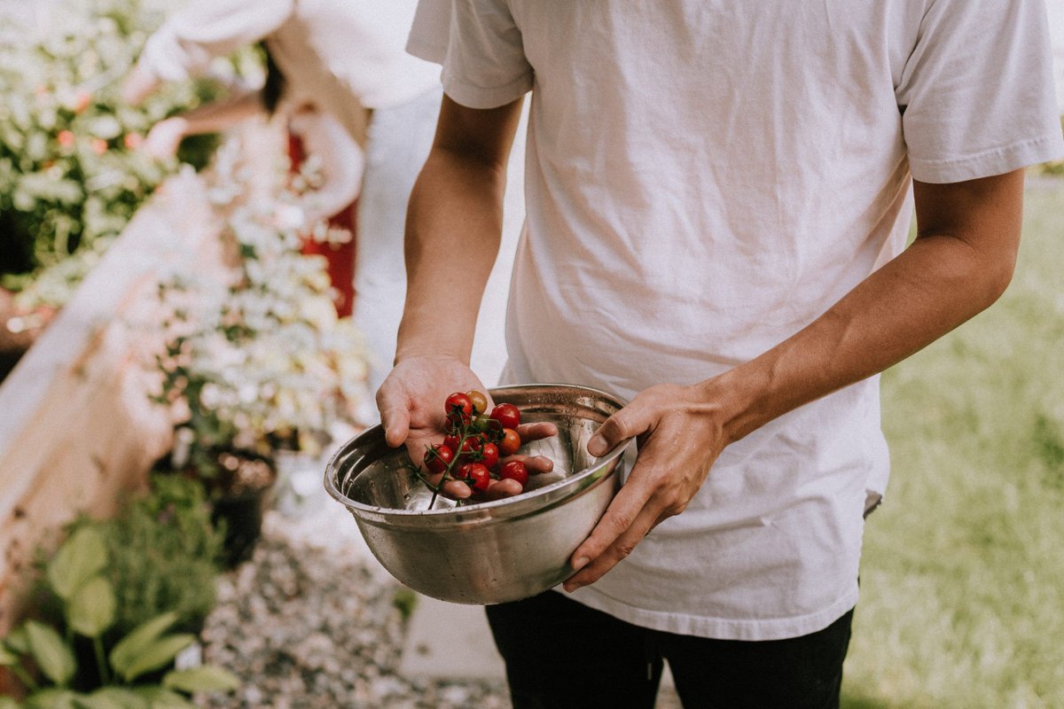 Create_BizProp's tweet photo. Create Business Properties is dedicated to supporting the local community, and we love to see our tenants working with local people. Like Edinburgh Food Social who run initiatives to teach people about healthy, seasonal and delicious food preparation! https://t.co/ClOSP0ln89 https://t.co/YLnfSW48tp