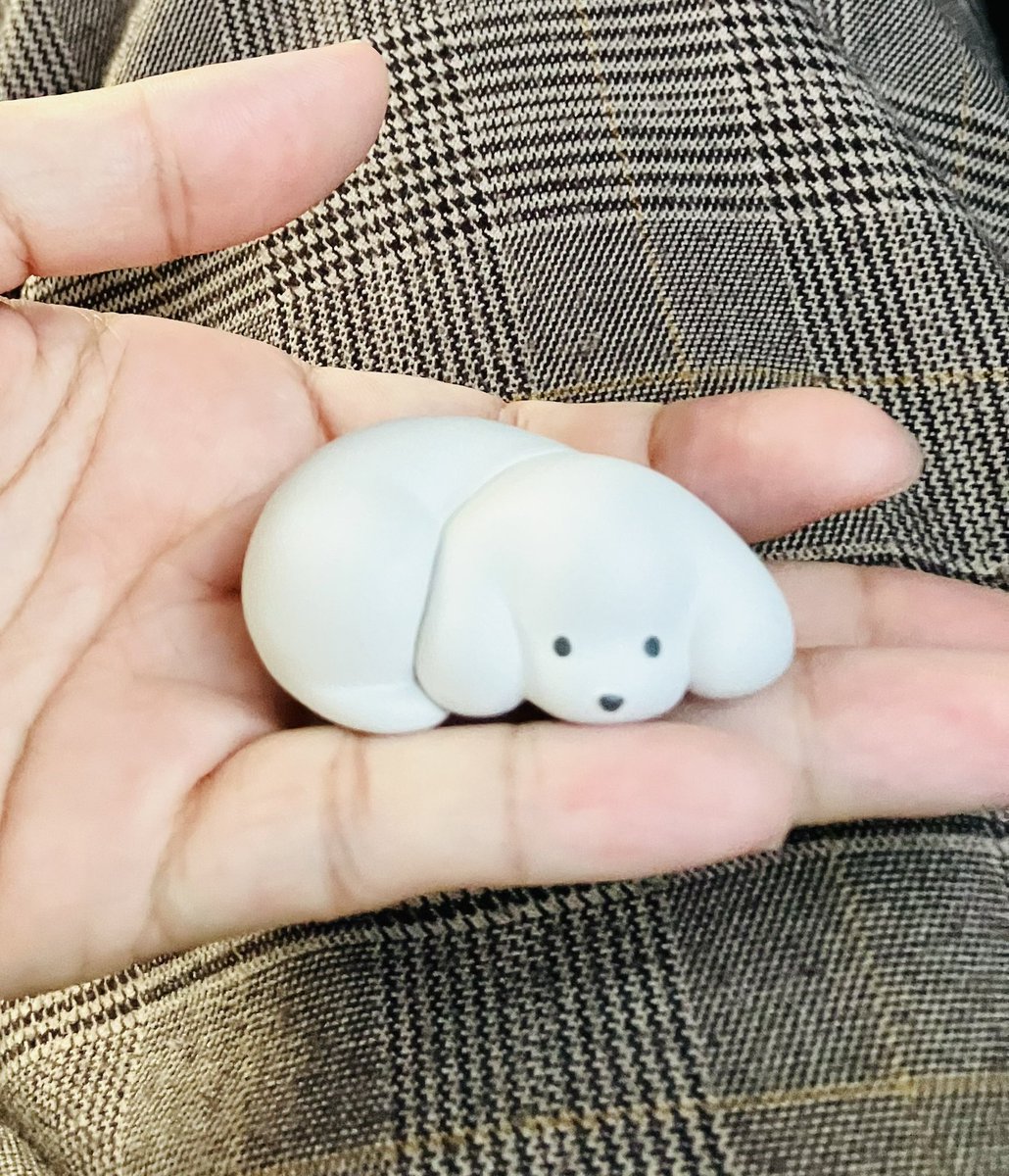 「まるいいぬを見せてあげるね」|桧ノ坂 （通販中）のイラスト