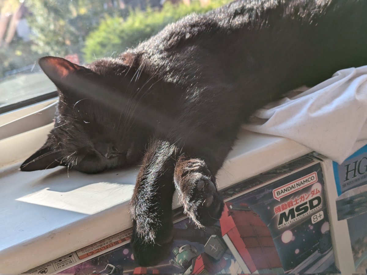 Kat 🦊 tweet media