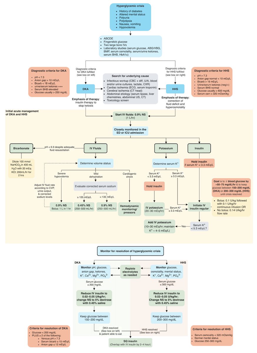 ManualOMedicine's tweet photo. Hyperglycemic Crises (DKA and HHS) - Diagnosis and Treatment Algorithm

by @MatthewHoMD
#medtwitter #foamed #usmle https://t.co/NJJzOpjZ71