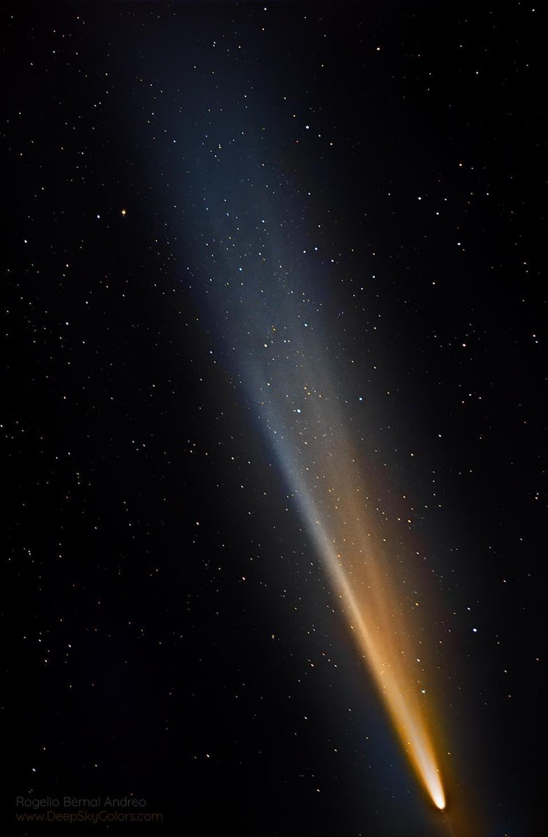 vivstoitsis's tweet photo. Here's my capture and rendition of comet C/2023 A3 (Tsuchinshan-ATLAS) captured about 5 hours ago (Oct 13 @ 19:35 local time) from San Luis Reservoir, California.
Credit Rogelio Bernal  Andreo. https://t.co/y3fIRWl2BL