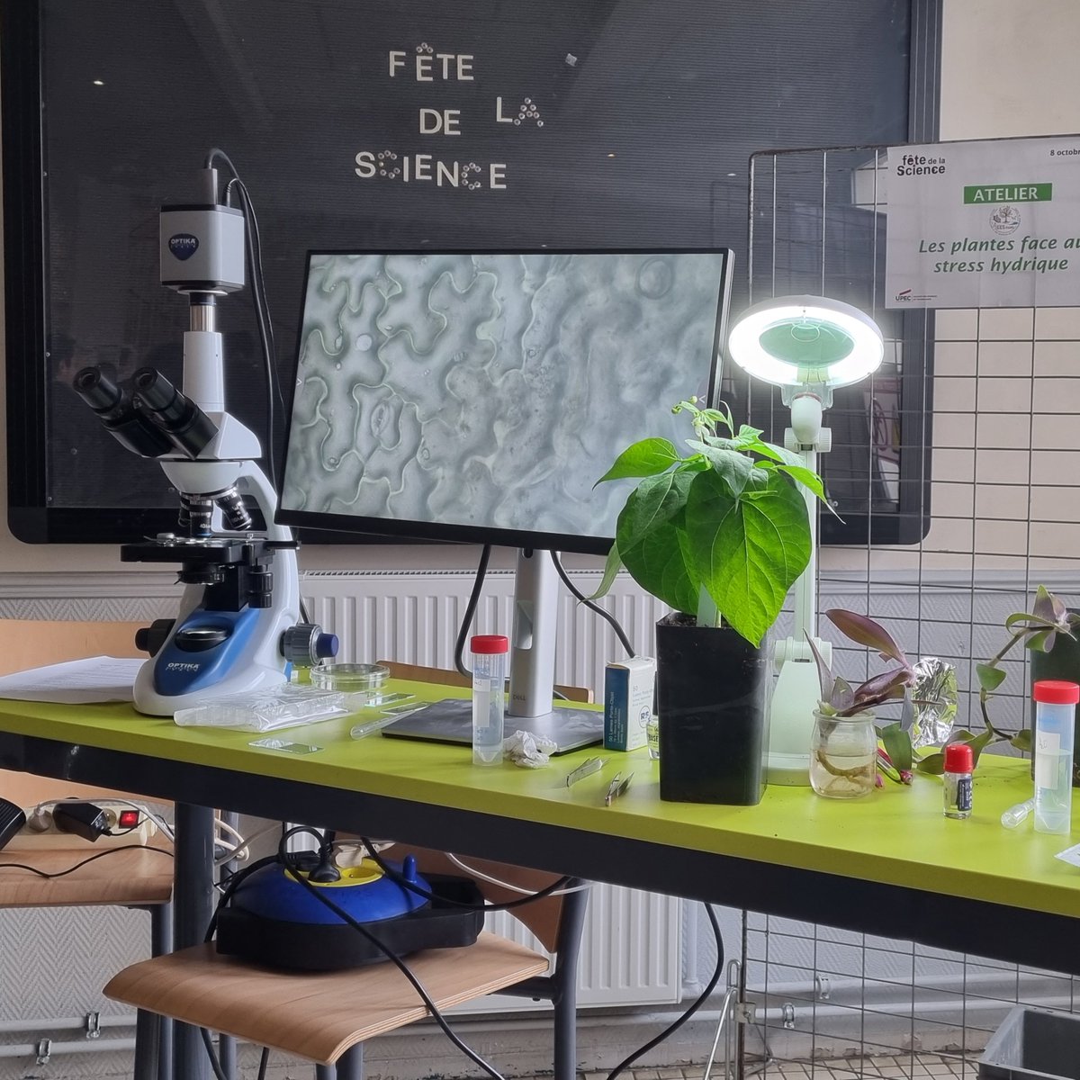 Faculté Sciences Techno UPEC (@fst_upec) on Twitter photo Pour #FêteDeLaScience, <a href="/FST_UPEC/">Faculté Sciences Techno UPEC</a> a accueilli des élèves de lycées partenaires de sa #Cordéedelaréussite <a href="/AcCreteil/">Académie de Créteil</a>
✅Escape Game organisé par des étudiants de L1 CSV SVT
✅Animations scientifiques du @LISA_ipsl <a href="/laboLeesu/">leesu</a> <a href="/iEESParis/">iEES Paris</a> et <a href="/LCrret/">Gly-CRRET</a>
👉 bit.ly/4h5VT1e Pour #FêteDeLaScience, <a href="/FST_UPEC/">Faculté Sciences Techno UPEC</a> a accueilli des élèves de lycées partenaires de sa #Cordéedelaréussite <a href="/AcCreteil/">Académie de Créteil</a>
✅Escape Game organisé par des étudiants de L1 CSV SVT
✅Animations scientifiques du @LISA_ipsl <a href="/laboLeesu/">leesu</a> <a href="/iEESParis/">iEES Paris</a> et <a href="/LCrret/">Gly-CRRET</a>
👉 bit.ly/4h5VT1e