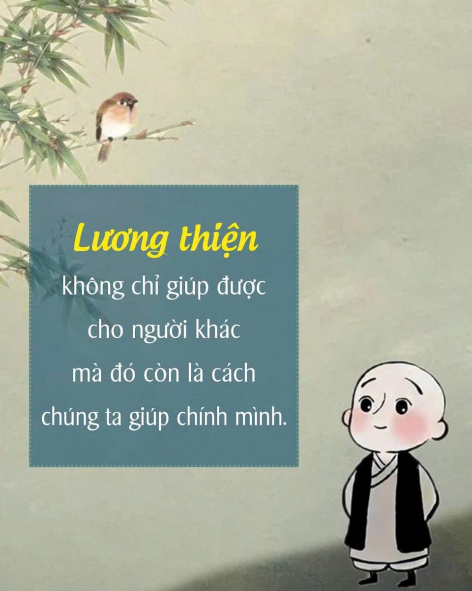 Phương Chi tweet media