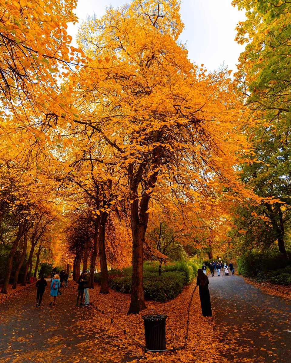Who’s up for a cozy city wander? 🍂✨ 

Whether it's a stroll by the Liffey or uncovering the city's hidden gems, autumn is the perfect time to explore #Dublin scenery 🍁 

Use the hashtag #YesDiscoverIreland for a chance to be featured! 🥰

📸 adrianlangtry [IG]
#KeepDiscovering