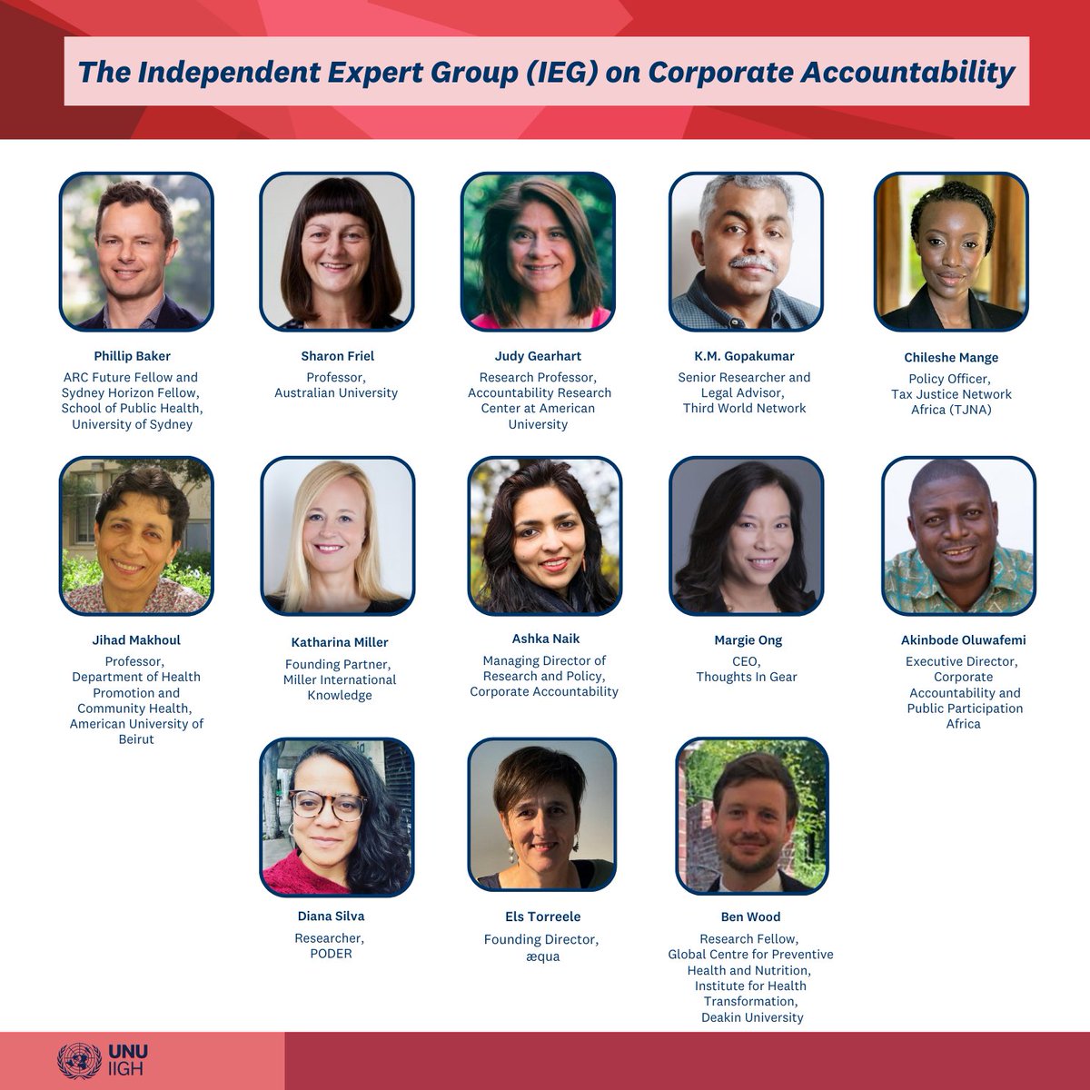 📢 Exciting news! The  Independent Expert Group (IEG) on Corporate Accountability is now officially launched! The IEG will critically evaluate voluntary corporate performance indexes as a mechanism for monitoring the behaviour and impact of TNCs on health. 
 
Gain more insights