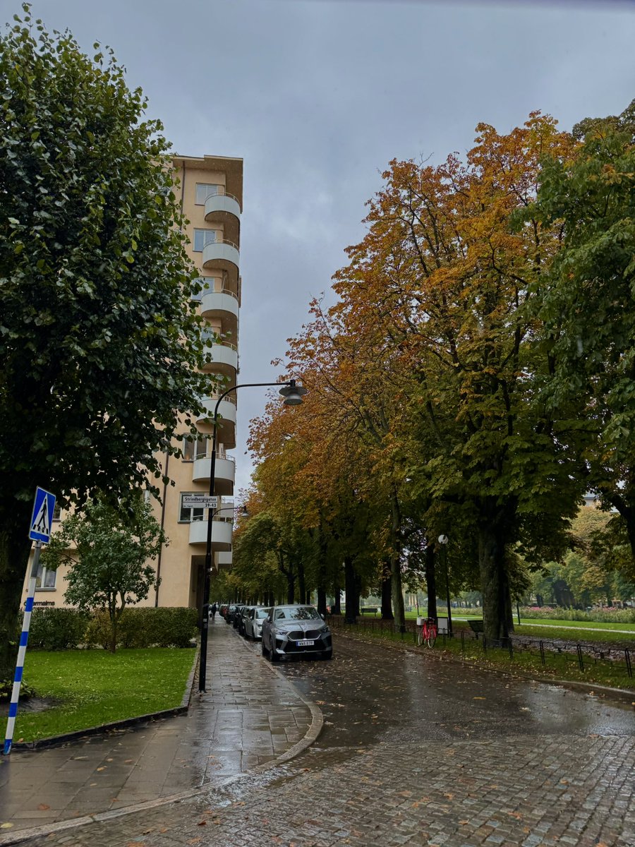 Itslissy1's tweet photo. Sügis Stockholmis 🍂 https://t.co/0AnNT9uKvp