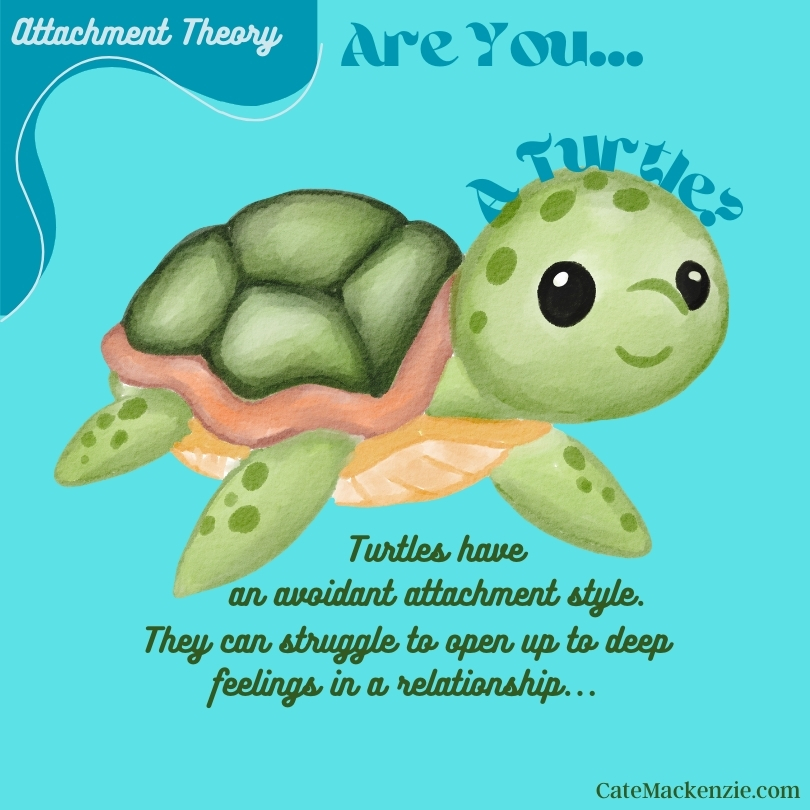 Cate Mackenzie (she/her) tweet media