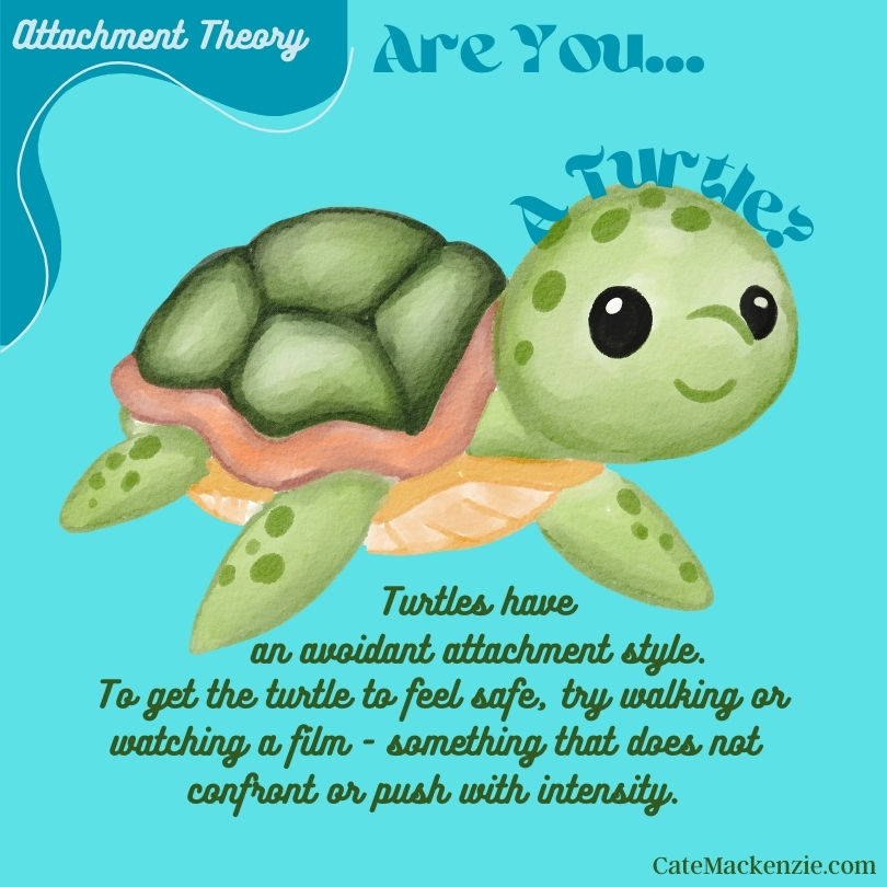 Cate Mackenzie (she/her) tweet media