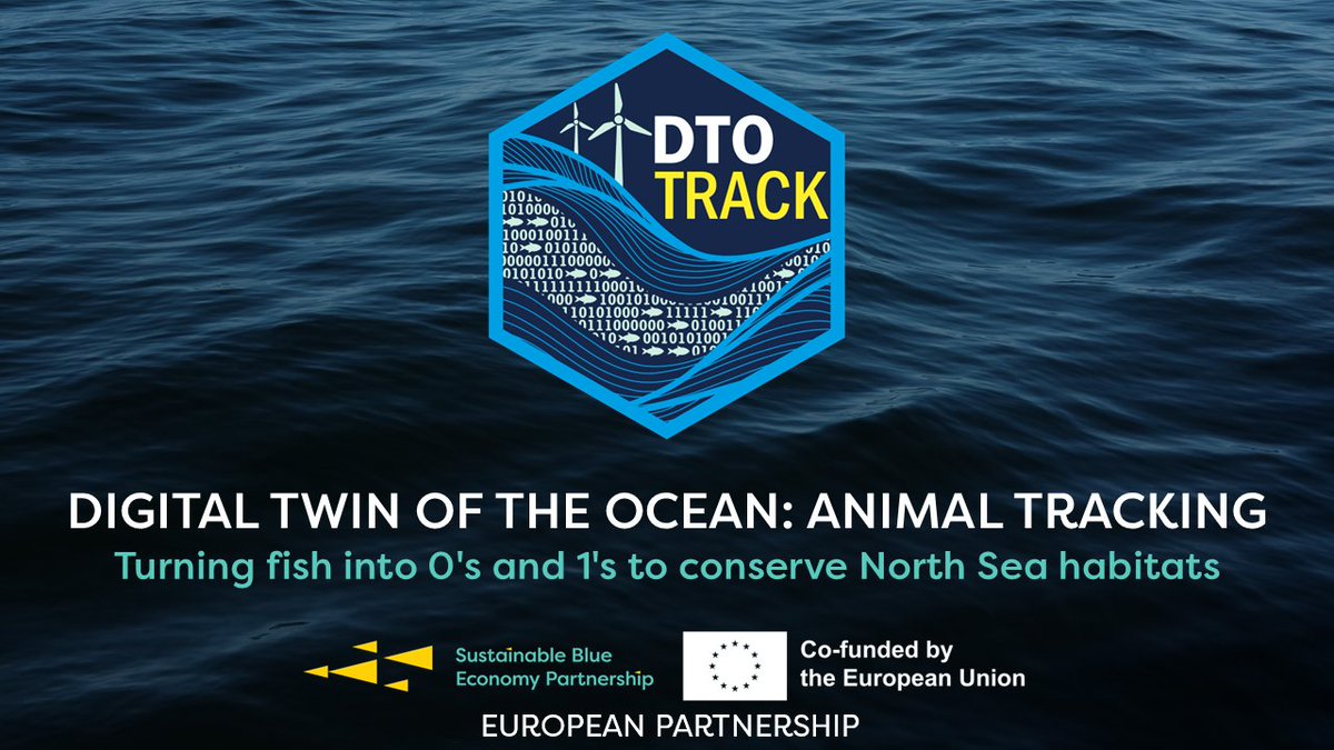 AquaticTracking's tweet image. 🥳New project just dropped!

We are turning fish into 0&apos;s and 1&apos;s to conserve North Sea biodiversity! 🐟

The #DTOTrackProject consortium will develop a Digital Twin of the North Sea using animal movement data 🧐

More here: europeantrackingnetwork.org/en/news-dtotra…

@BlueEconomyEU