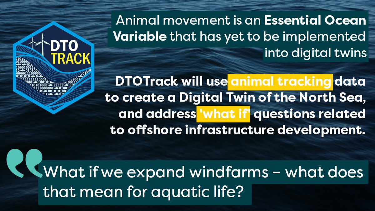 AquaticTracking's tweet image. 🥳New project just dropped!

We are turning fish into 0&apos;s and 1&apos;s to conserve North Sea biodiversity! 🐟

The #DTOTrackProject consortium will develop a Digital Twin of the North Sea using animal movement data 🧐

More here: europeantrackingnetwork.org/en/news-dtotra…

@BlueEconomyEU