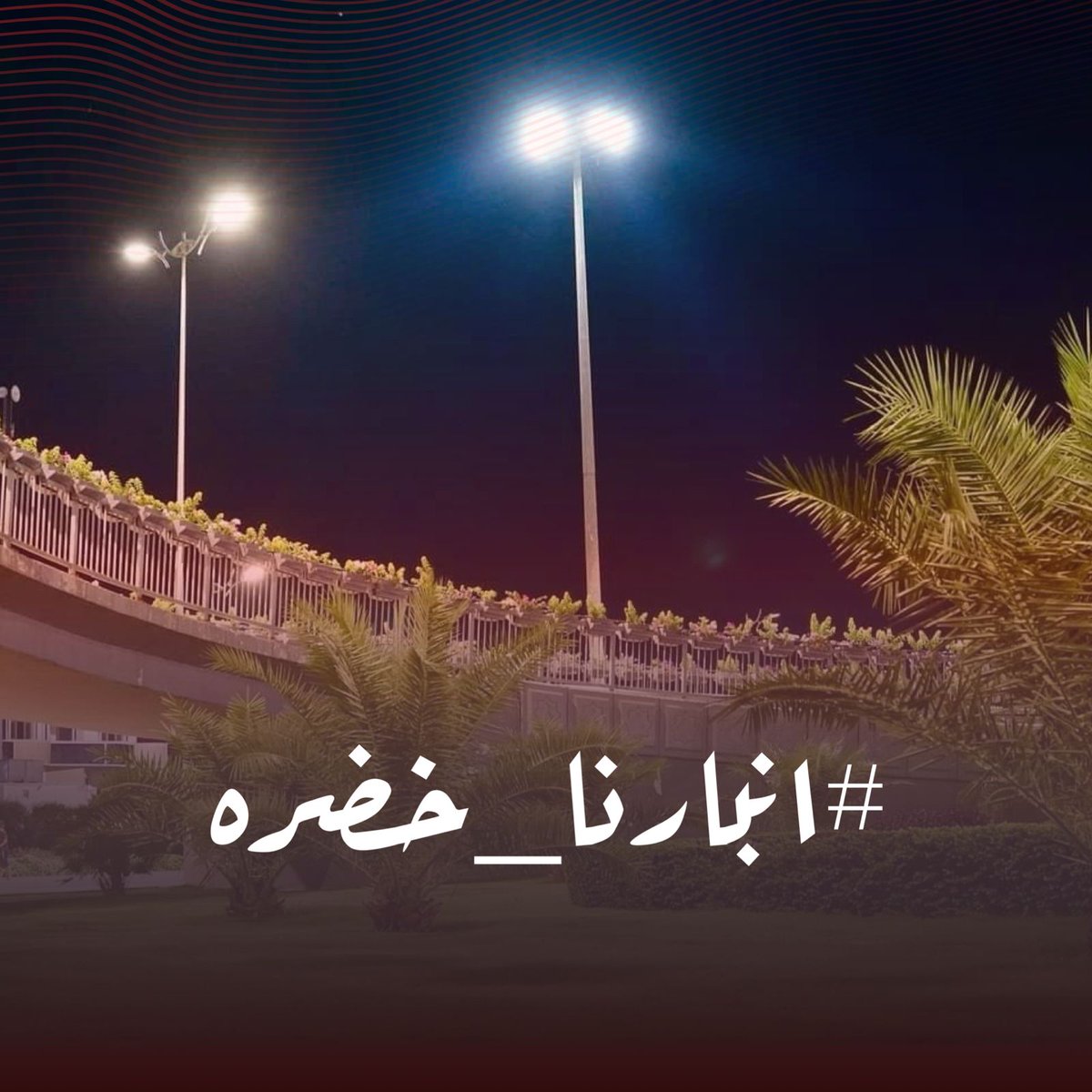 raqyr2141's tweet photo. #انبارنا_خضره
نزرعه نخليه احلى https://t.co/TgQrzOKqYJ