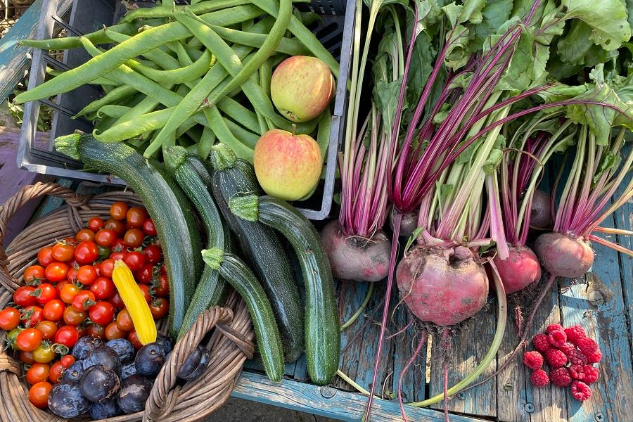 The first ever Gateshead Food Summit on Fri 8th Nov will bring together people interested in 'good food', highlighting opportunities for food system change.
The event will also act as the official launch for <a href="/FoodGateshead/">Gateshead Food Partnership</a>
gateshead.gov.uk/article/29989/…