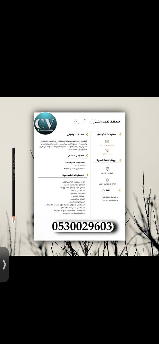 بتواجه مشكله في كتابه سيرتك الذاتيه ،، 
تعالى هنا وهتستلم حاجه محترمة جدا 
 بدون غرور وبثقة تامة بناء على أراء العملاء❤️🌹💕 

 بنقدملك خدمه تصميم سيرتك الذاتيه بشكل احترافي و مميز ، وما يميزنا :

 ⁦🏷️⁩ انشاء ⁦سيره ذاتيه بتصاميم مميزه وعصريه تناسب خبراتك ومهارتك .
⁦🏷️