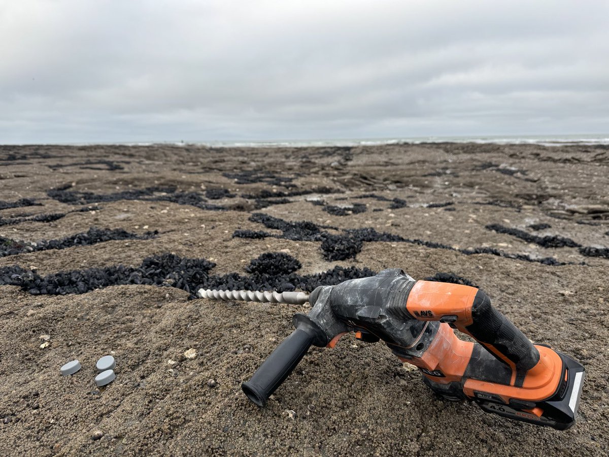 Laurent Seuront (@laurentseuront) on Twitter photo Guess what? After drilling rocks along the shores of the western English Channel, today it is time for #ROCOBS to drill more rocks in the #intertidal zone of southern Britanny <a href="/CNRS_HdF/">CNRS Hauts-de-France</a> <a href="/univ_lille/">Université de Lille</a> <a href="/fst_univlille/">fst_univlille</a> <a href="/LOG_labo/">Laboratoire d’Océanologie et de Géosciences</a> #monitoring #envloggers Guess what? After drilling rocks along the shores of the western English Channel, today it is time for #ROCOBS to drill more rocks in the #intertidal zone of southern Britanny <a href="/CNRS_HdF/">CNRS Hauts-de-France</a> <a href="/univ_lille/">Université de Lille</a> <a href="/fst_univlille/">fst_univlille</a> <a href="/LOG_labo/">Laboratoire d’Océanologie et de Géosciences</a> #monitoring #envloggers