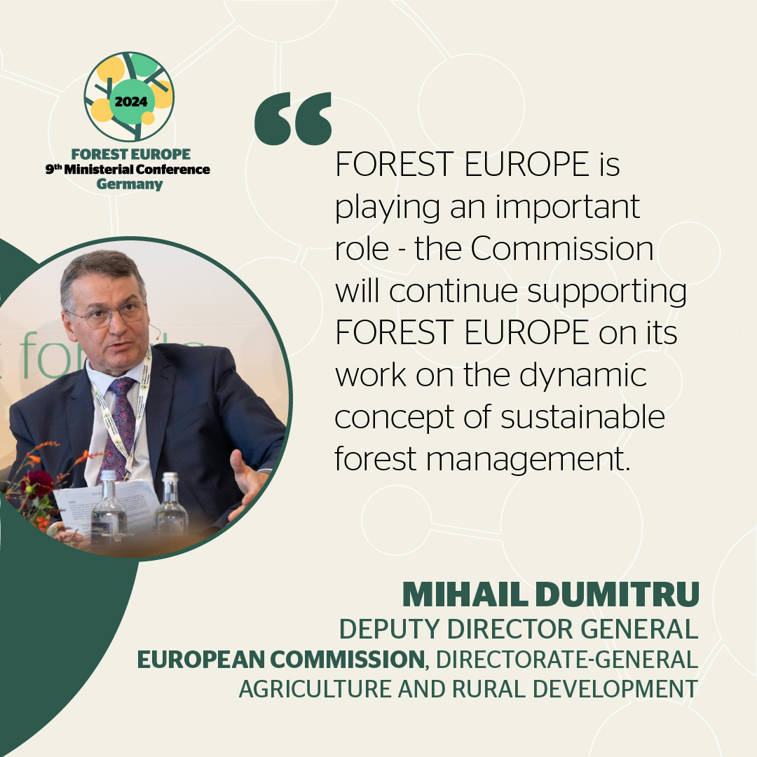 FOREST EUROPE tweet media