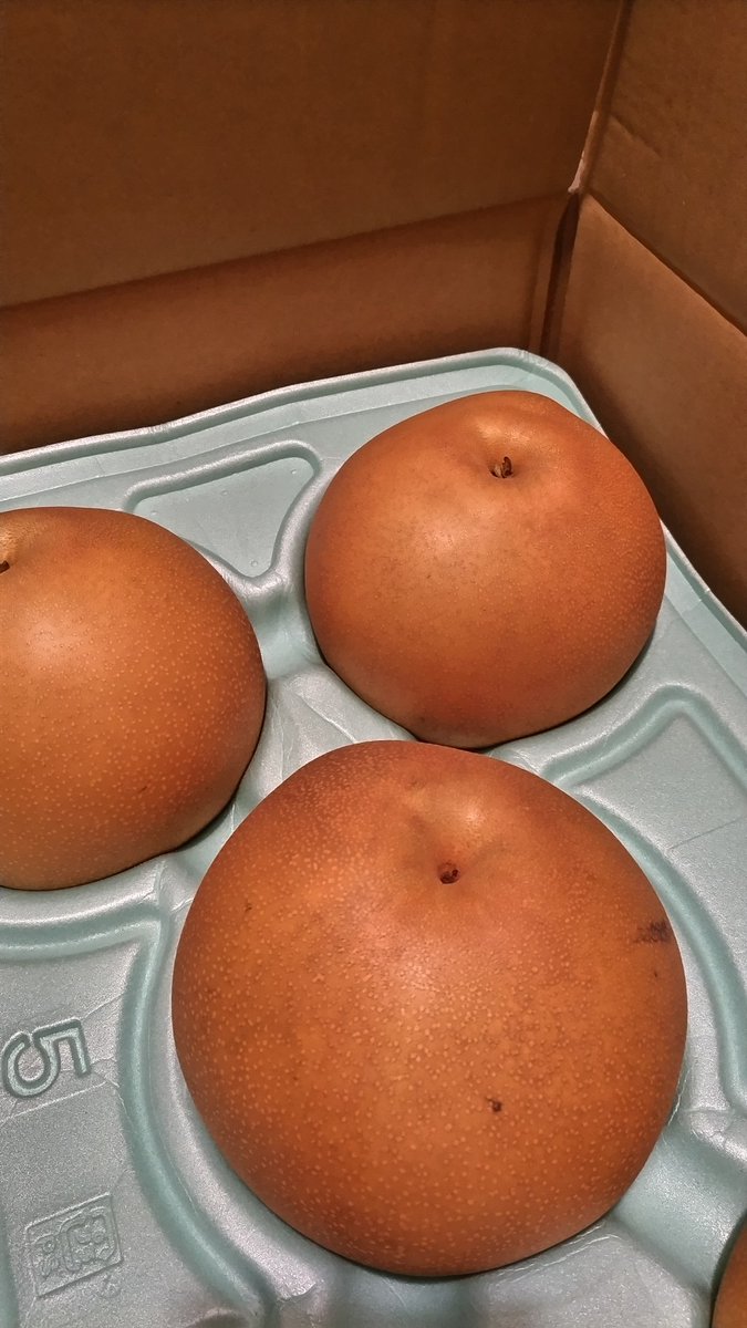 今年、最大のボインちゃんきた🤩

#おじ梨
#いずみちゃん
#ボインちゃん