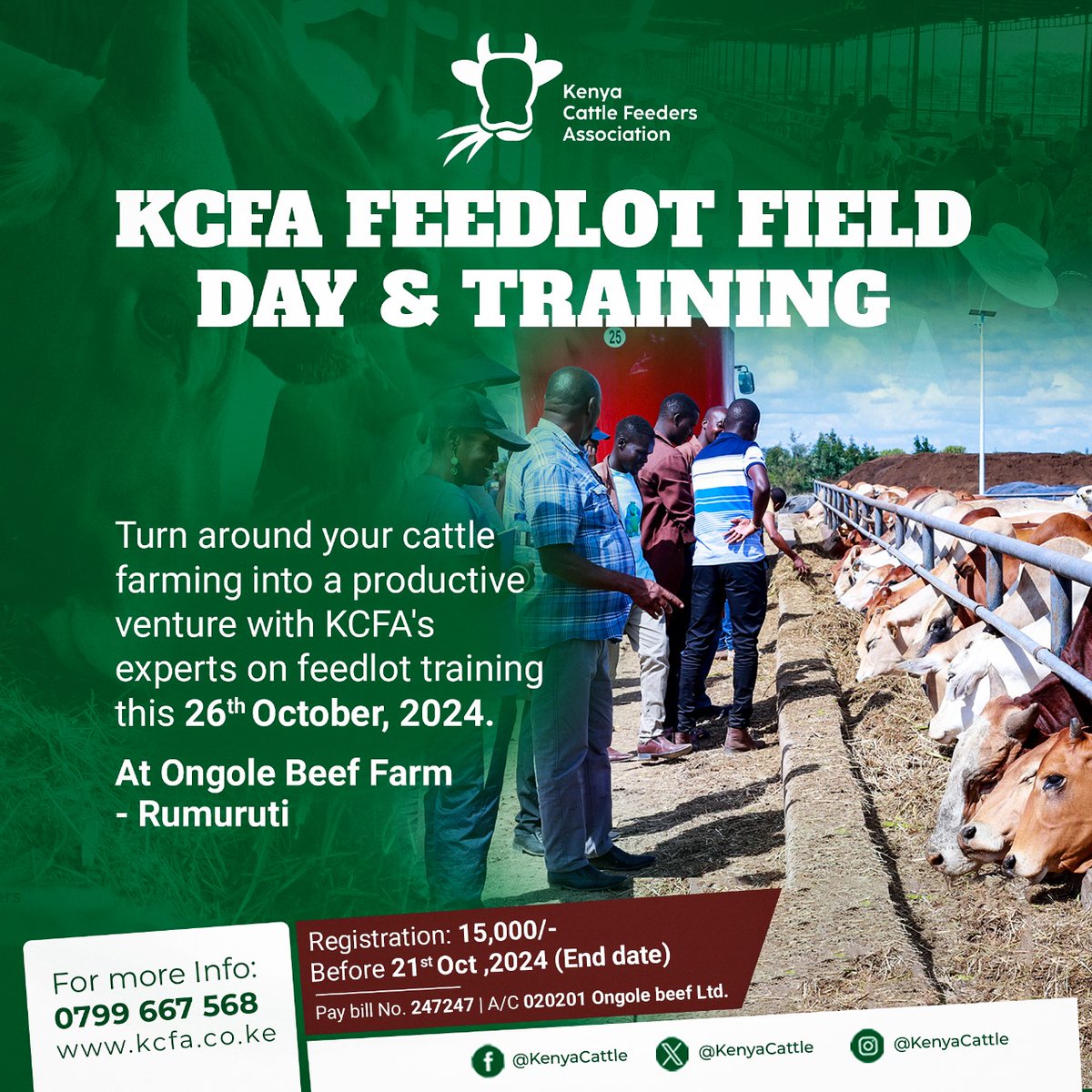 KenyaCattle's tweet photo. There are just a few days left until the training that will revitalize your feedlot from a passion venture to a profitable venture. Book your space today and get ready to learn, earn, and thrive! https://t.co/XxZoVi0JId