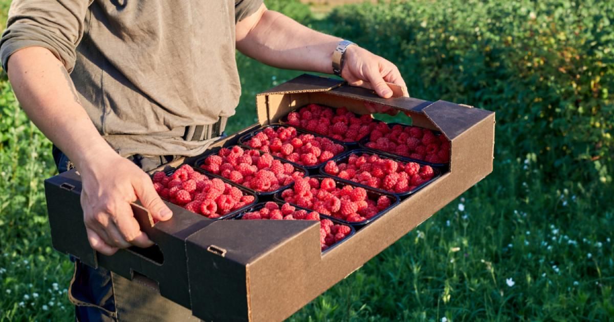 Soft drinks firm Summerhouse Drinks acquires ‘renowned’ Scottish juice maker: heraldscotland.com/news/24646252.…