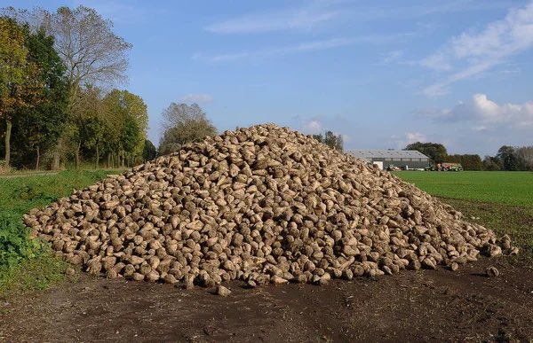 james shouler tweet media