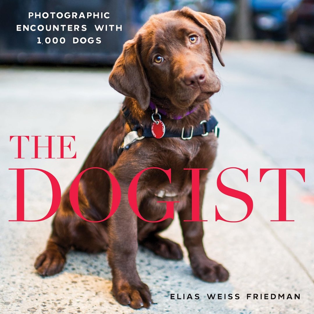 person_fam56016's tweet photo. The Dogist  Photographic Encounters
Description
Discover the heartwarming and candid moments of dogs around the world with "The Dogist: Photographic Encounters". 
Hashtages
#TheDogist #PhotographicEncounters #DogPhotography #DogLovers #CaninePortraits #DogStories #PuppyLove https://t.co/ptaow3oSJd