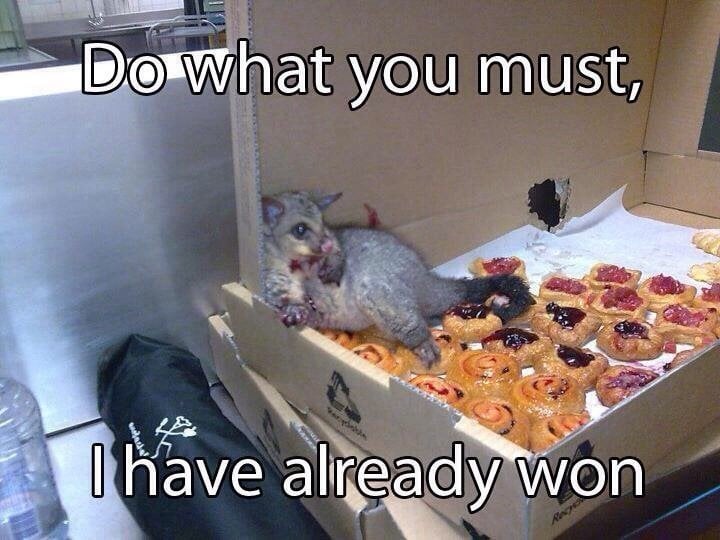 Carlos That Notices Things tweet media