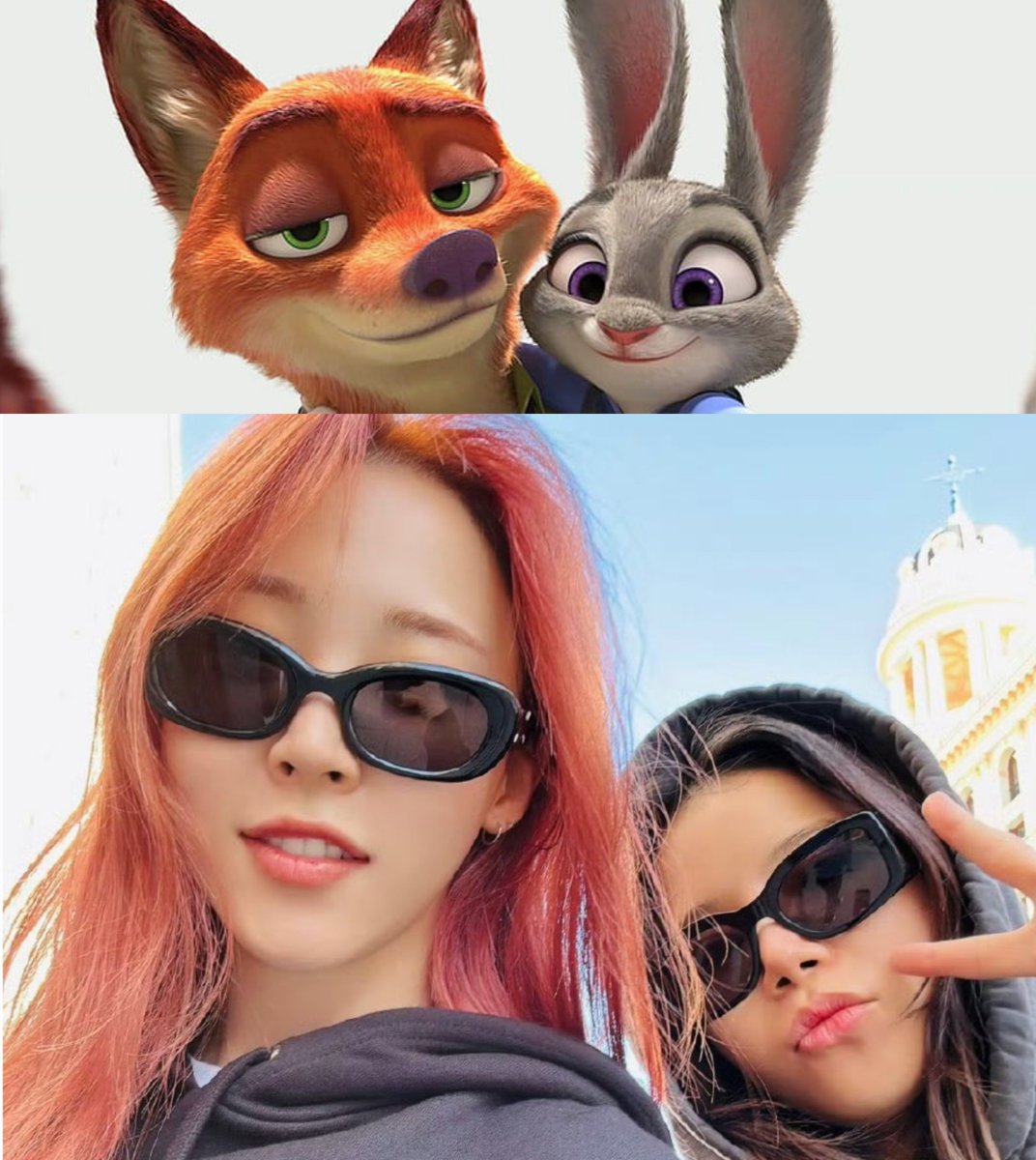 hgshp's tweet image. Close enough 
🦊🐰

#mamamooplus #zootopia